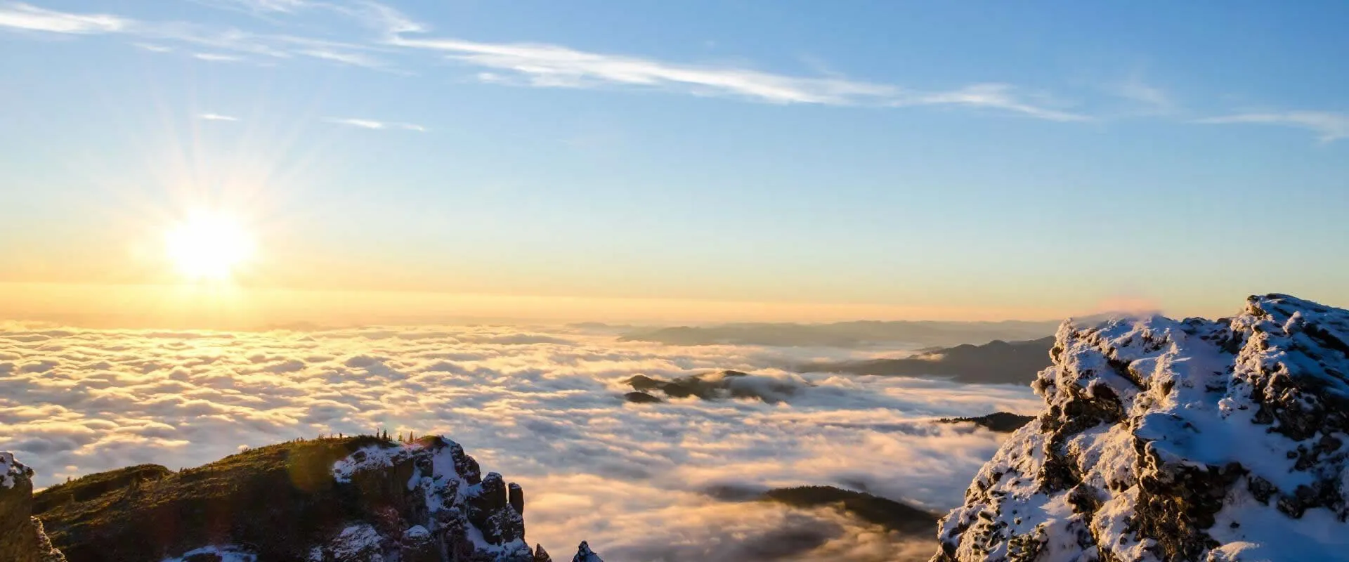 Let's collaborate to create a mutually satisfying solution.